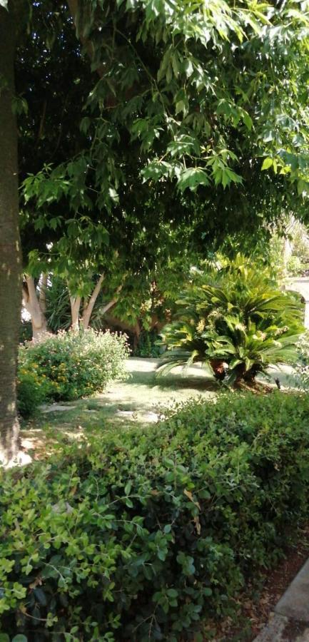 Residence Il Giunco Presicce Exterior foto